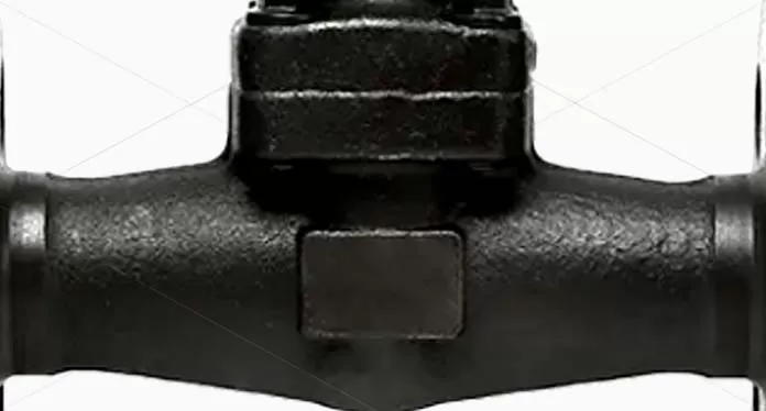 Straight-Pattern Globe Valve