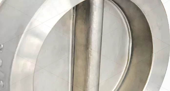 Dual-Plate Check Valves