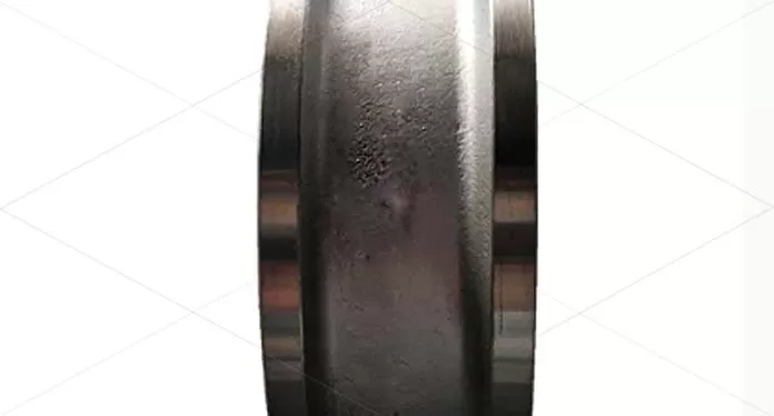 Dual-Plate Check Valves