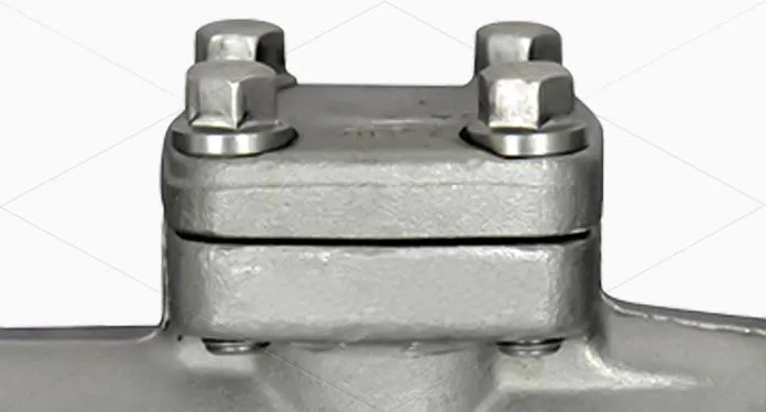 Forged Steel Check Valve