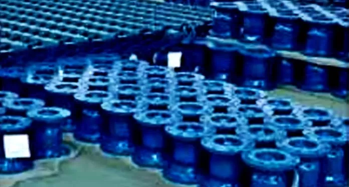 Cast Steel CF8M JIS 10K RF Flange Basket Strainer