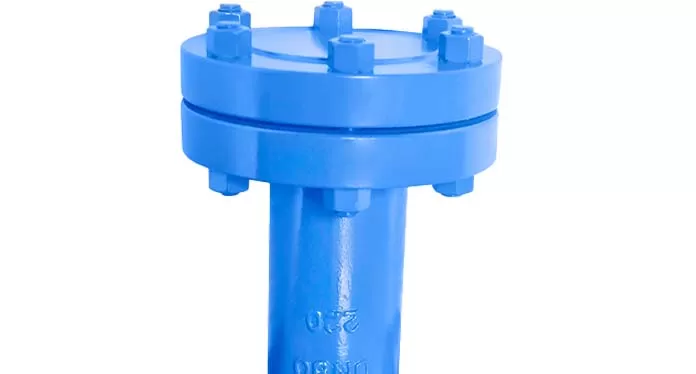 Cast Steel WCB DN80 150LB Butt Weld T-type Strainer