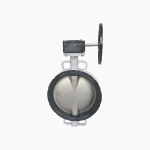 Concentric Line Resilient Butterfly Valve