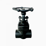 Forged Steel A105N 1” 800LB Butt Weld Gate Valve