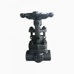 Forged Steel A105N 1” 800LB Butt Weld Gate Valve