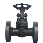 Forged Steel A105N 1” 800LB Butt Weld Gate Valve
