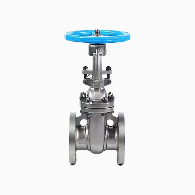 Forged Steel F316 2” 150LB RF FLANGE Gate Valve