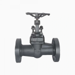 Straight-Pattern Globe Valve