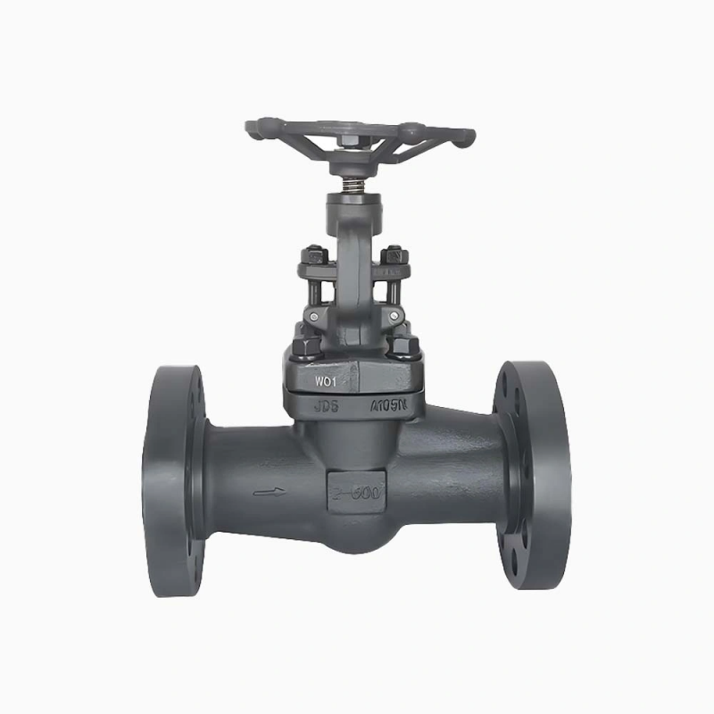 Straight-Pattern Globe Valve