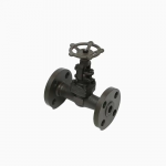 Straight-Pattern Globe Valve