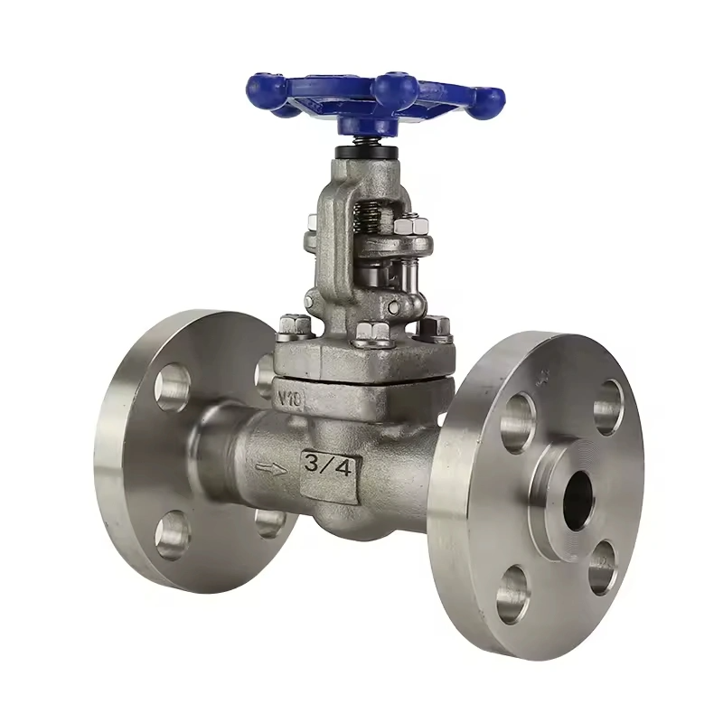 High Quality Flanged Manual Stainless Steel Forged Globe Valve For Water Oil Gas