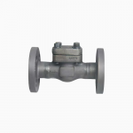 Forged Steel Check Valve