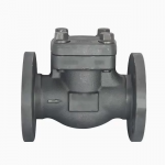 Forged Steel Check Valve