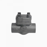 Forged Steel Check Valve