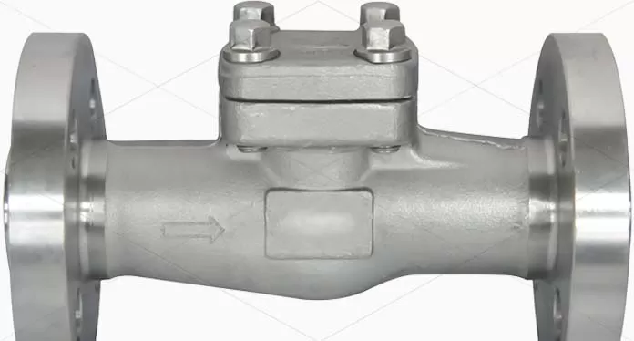 Forged Steel Check Valve