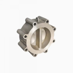 Dual-Plate Check Valves