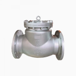 Cast Steel WCB 6” 1500LB RF Flange Swing Check Valve