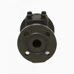 Forged Steel A105N 1” 150LB RF FLANGE Check Valve