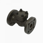 Forged Steel A105N 1” 150LB RF FLANGE Check Valve