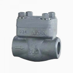 Forged Steel A105N 1” 800LB Butt Weld Check Valve