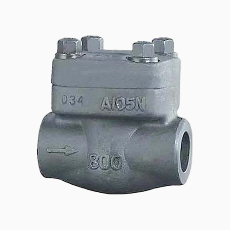 Forged Steel A105N 1” 800LB Butt Weld Check Valve