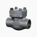 Forged Steel A105N 1” 800LB Butt Weld Check Valve