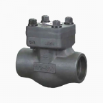 Forged Steel A105N 1” 800LB Butt Weld Check Valve