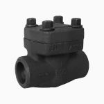 Forged Steel A105N 1” 800LB Butt Weld Check Valve