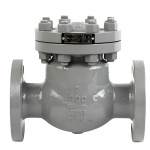 API JIS DIN CLASS 300 Flanged Carbon Steel/Stainless Steel Swing Check Valve