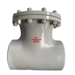DN350 WCB/CF8 Cast Butt Welded T-Type Strainer Filter with Butt Welded Ends