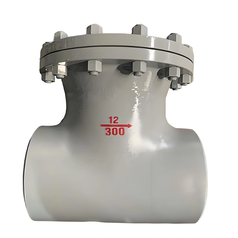DN350 WCB/CF8 Cast Butt Welded T-Type Strainer Filter with Butt Welded Ends