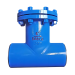 ANSI Carbon Steel Fabricated Butt Welded Tee T Type Strainer Carbon Steel Welding T-Type Strainer Filter