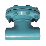 ANSI Carbon Steel Fabricated Butt Welded Tee T Type Strainer Carbon Steel Welding T-Type Strainer Filter