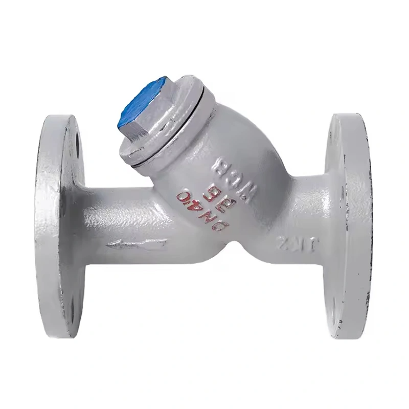 CF8/WCB SS304 SS316 Flange Type Y Strainer Cast Steel DN150 DIN Standard Y-Type Strainer Filter
