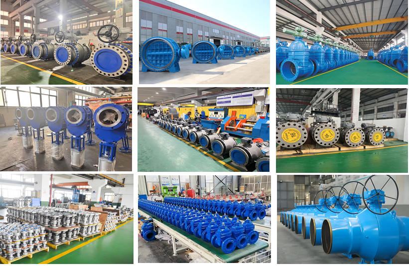 High-Demand Industrial Valves for Sea water Desalination Projects