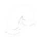 Pipe Fitting