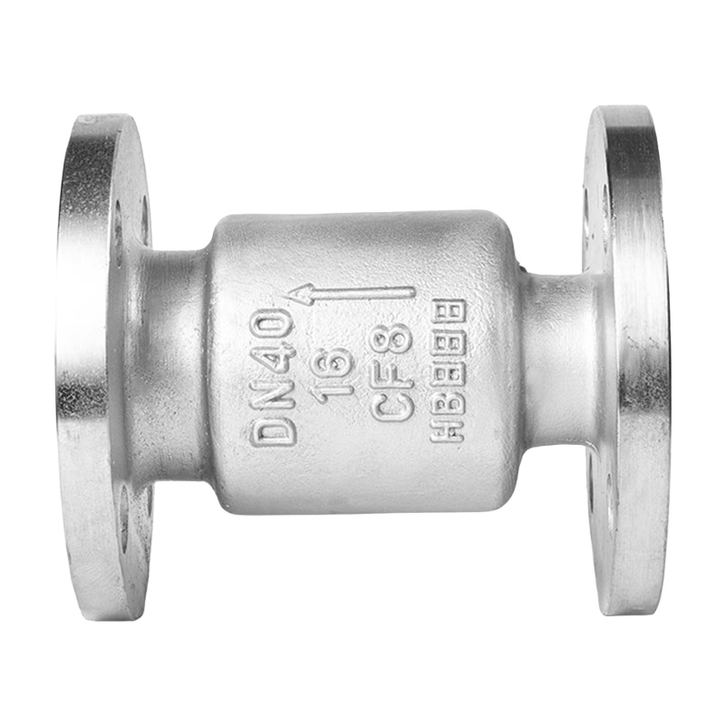DN50 PN16 SS304 Stainless Steel Energy Saving Silenced Flanged Check Valve for Drainage Pipes Well Sealed and Durable