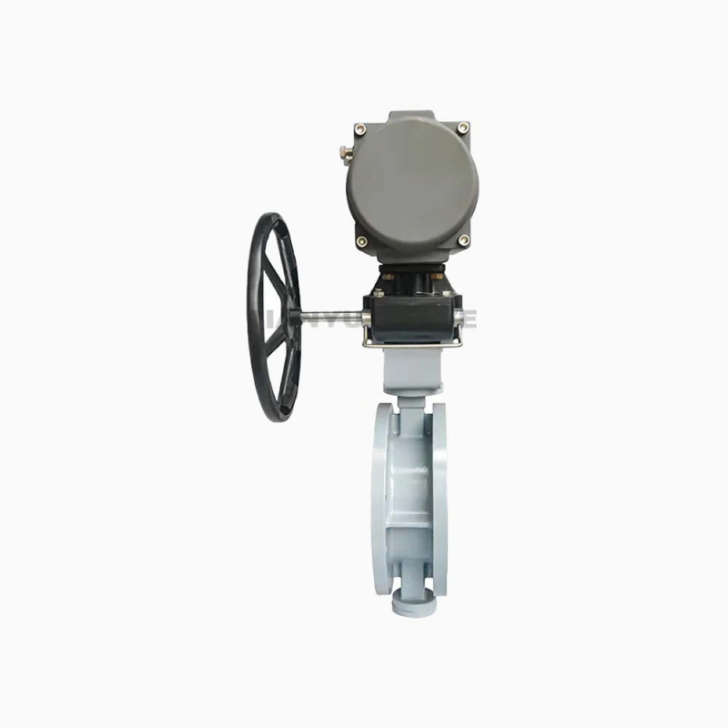 Multi-layer Hard Seal Flanged Butterfly Valve