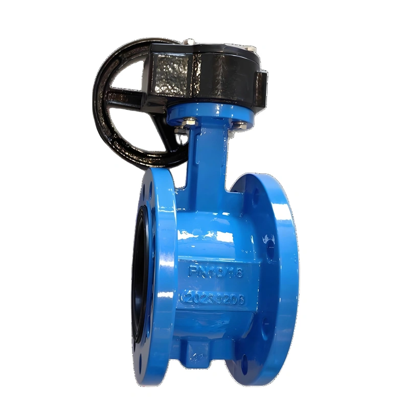 C504 Concentric Butterfly Valve Flanged EPDM Seat Ci Butterfly Valve