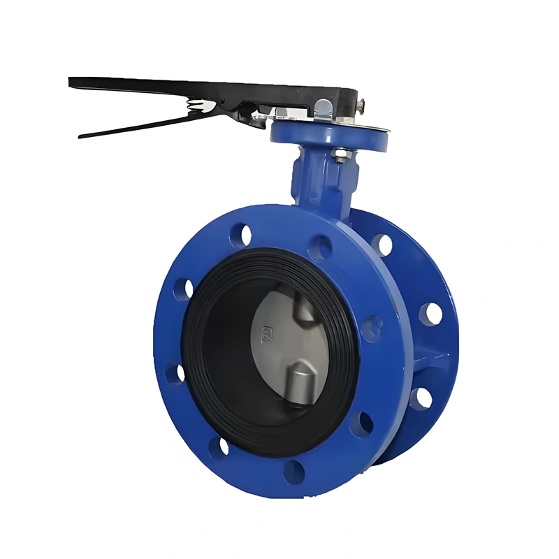 Soft Sealing Cast Iron Gear Operated Concentric Double Flanged Butterfly Valve