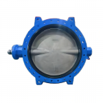 Large-diameter DN300-DN2800 Soft Seal Double Flanged Concentric Butterfly Valve