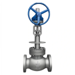 Stainless Steel High-Pressure Cryogenic Globe Valve with Flange Connection for LNG, LOX, Petrochemical Applications
