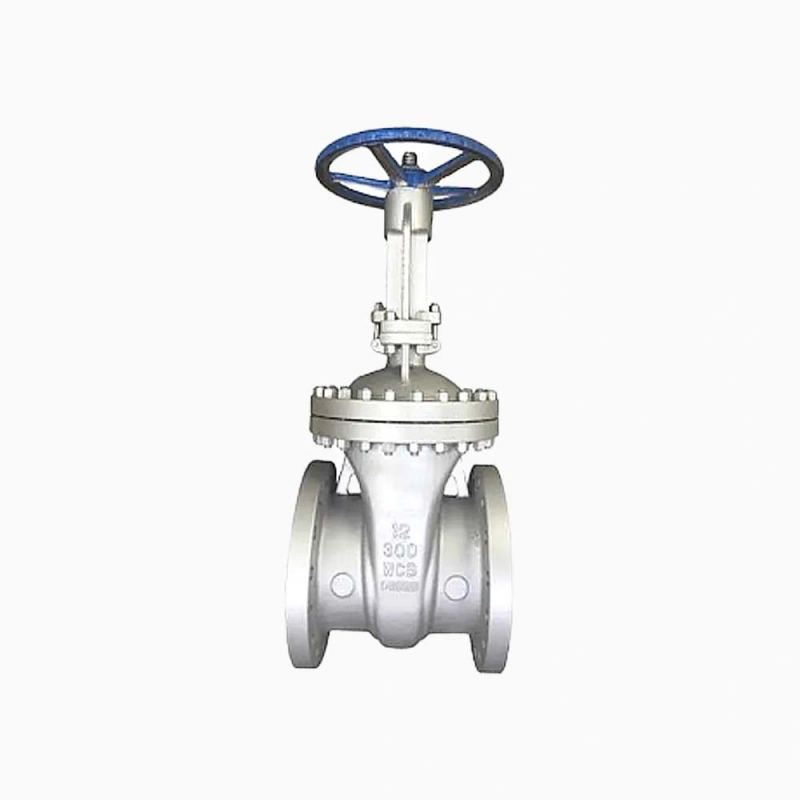Flexible Wedge Stainless Steel ANSI Standard 150psi Gate Valve