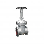 Flexible Wedge Stainless Steel ANSI Standard 150psi Gate Valve
