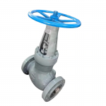 API600 High-Pressure Self Sealing Gate Valve Cast Steel A216 WCB Alloy Steel A217 WC6 WC9 Power Station Flange Gate Valve