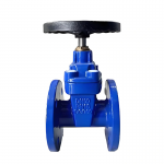 Ductile Iron Flanged Gate Valve Manual Fire Fighting Valve for Water Ductile Iron Flanged Gate Valve
