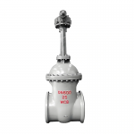 DN600 Manual Full-Bore WCB Cast Steel Flange Type Wedge Gate Valve