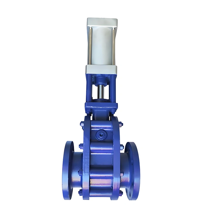 DN100 Double Disc Gate Valve Pneumatic Parallel Sliding Double Disc Ceramic Gate Valve