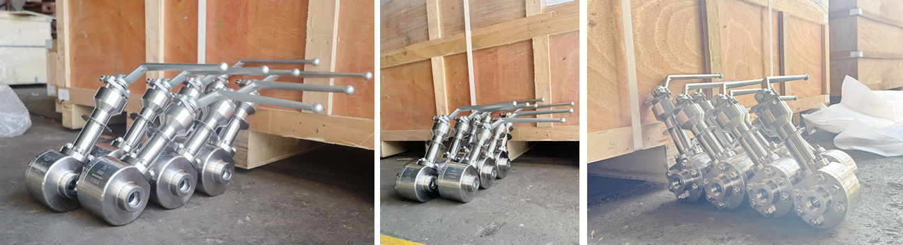 API6D CE ANSI 800LB 3/4” SS304 Socket Weld Soft-Sealed Ultra-Low Temperature Floating Ball Valve