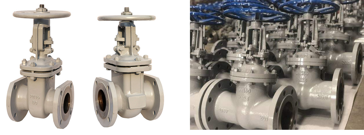 EAC DN80-DN300 PN10-PN25 Russian Standard (GOST) Cast Steel Wedge Flange Hand Operated Gate Valve